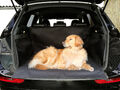 Kofferraumdecke Kofferraumschutz Hund Auto Schutzdecke Schondecke Hundedecke