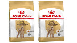 Royal Canin Breed Poodle Adult Hundefutter Trockenfutter 2 x 7,5 kg
