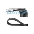 1x Keilrippenriemen DAYCO 6PK1904 passend für AUDI FIAT FORD OPEL SAAB SEAT