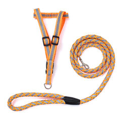 Hundegeschirr Leine Set Reflektor Streifen Orange S