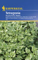 Spinat * Tetragonia * MHD 01/27 Neuseeländer Kiepenkerl Samen 363