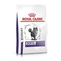 Royal Canin Expert Dental 1,5 kg | Katzen | Zähne | Zahnfleisch