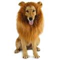 Löwen Mähne Kopfbedeckung Kostüm Großer Hunde Katzen Halloween Cosplay Perücke