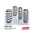 Fahrwerkssatz, Federn EIBACH E10-81-016-01-22 Pro-Kit für, Hinterachse