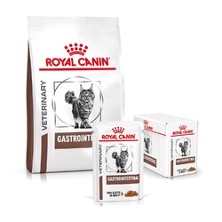 Royal Canin Gastrointestinal Sparpaket: 4 kg Trockenfutter + 12x85 g Nassfutter 