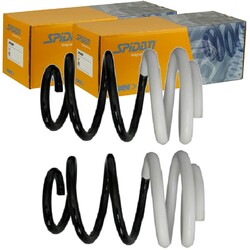 2X SPIDAN FAHRWERKSFEDERN SATZ VORNE PASSEND FÜR RENAULT CLIO LINKS+RECHTS |