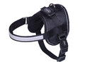 Nobby  Geschirr Seguro Mini Hund Dog schwarz Bauch: 31-40 cm; B: 15 mm
