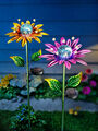 Solar-Gartenstecker Flower Emotion 2er-Set Blüten in Lila und Orange Höhe 100 cm