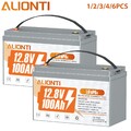 12V 100AH 300A 400A LiFePO4 Lithium Batterie BMS Akku Wohnmobile Solaranlage RV