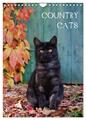 COUNTRY CATS (Wandkalender 2024 DIN A4 hoch), CALVENDO Monatskalender Menden