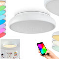 LED Decken Lampen dimmbar Flur Wohn Schlaf Zimmer Leuchte Farbwechsler Smart App