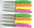 VICTORINOX FARBAUSWAHL  Messer Küchenmesser Gemüsemesser grün orange gelb pink