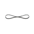 Keilrippenriemen Bosch 1 987 946 118 Elastic für Citroën für Fiat für Ford