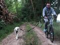 Führhalter Abstandhalter Expander Fahrradhalter Fahrradleine Hund, Biker Set