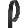 Gates 5PK580 Keilrippenriemen für FORD MONDEO I GBP BNP BAP BFP Treibriemen