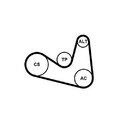 Keilrippenriemensatz Continental Ctam 6PK1180K2 für Seat für Skoda für VW