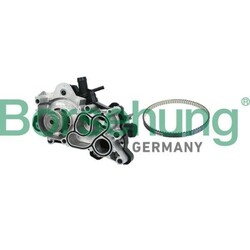 1x Wasserpumpe, Motorkühlung Borsehung B11207 passend für VAG