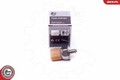 ESEN SKV Sensor, Kraftstoffdruck 17SKV581 für AUDI VW