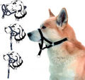 Halti Headlar Non Pull Hundekopf Halsband für Training Verstellbares Hundehalter