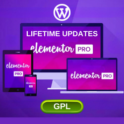 Elementor PRO Lifetime GPL Lizenz - WordPress Plugin 3.21.1
