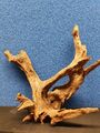 Mangroven Corbo Wurzel 15-19cm Aquarium, Terrarium, Deko, echte Wurzel