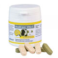 Alfavet RodiCare® Vita C - zur Ergänzung der Nahrung mit Vitamin C (550,00 €/kg)