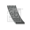 FEBI BILSTEIN 29009 Keilrippenriemen für BMW DAEWOO FORD USA MAZDA