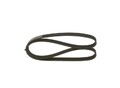 BOSCH Keilrippenriemen 1 987 947 887 für FORD HYUNDAI KIA FIAT