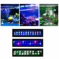 30cm LED Aquarium Beleuchtung Vollspektrum  Aufsetzleuchte Abdeckung Licht Timer