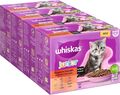Whiskas Junior Katzennassfutter Klassische Auswahl in Sauce, 48 Portionsbeutel