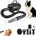 Profi Hundefön Tierfön Pet Dryer Flüsterfön Hundetrockner 3500W Schwarz