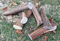 Hunde Kauknochen Hirschgeweih Geweihstücke Kaugeweih Geweihsnack Rotwild+Rentier