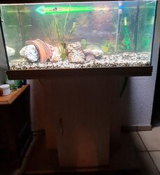 Aquarium komplett mit Unterschrank/ Eheim Pumpe 