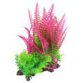  Wasserpflanzen Dekorationspflanzen Für Aquarien Aquarienpflanzen