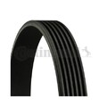 Keilrippenriemen CONTINENTAL CTAM 6PK2225 für FORD IVECO MERCEDES-BENZ VW JEEP