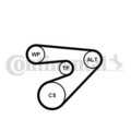 CONTINENTAL CTAM Wasserpumpe + Keilrippenriemensatz 6PK1453WP1 für SEAT SKODA
