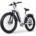 Vermissen Elektrofahrrad 26 Zoll eBike 1000W 48V E-Mountainbike SAMSUNG-840Wh