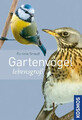 Gartenvögel lebensgroß ZUSTAND SEHR GUT
