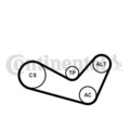 CONTINENTAL CTAM Keilrippenriemensatz für AUDI SEAT SKODA VW