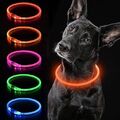 Hundehalsband Leuchthalsband Hund LED Hund Leuchtband Leuchtendes Hundehalsband