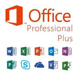 Microsoft Office 2021 Professional Plus Software auf DVD oder USB-Stick