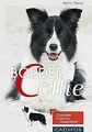 Border Collie: Charakter, Erziehung, Gesundheit von Rolf... | Buch | Zustand gut