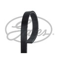 Keilrippenriemen Gates 5PK1148 Micro-v® für Alfa Romeo Fiat Ford Honda Lancia MG