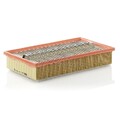 Mann-Filter Luftfilter C34175/1 | 393547