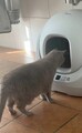Catlink Baymax Selbstreinigende Automatische Katzentoilette  - 90 Wie neu