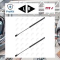2x ORIGINAL® Nty AE-SK-007 Gasfeder, Koffer-/Laderaum, Heckklappendämpfer
