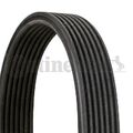 CONTINENTAL CTAM Keilrippenriemen 7PK1855 für BMW LAND ROVER