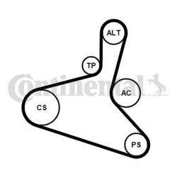 CONTINENTAL CTAM 6DPK1195K2 Keilrippenriemensatz für AUDI FORD SEAT SKODA VW
