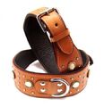 Hundehalsband aus Leder hoher Qualität, Halsband Neu LDC-406