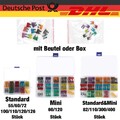 55/60/72-400× KFZ Sicherungen Standard Mini Autosicherung Set Sortiment Pkw LKW